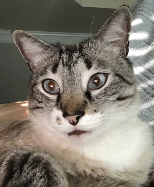 Bubba